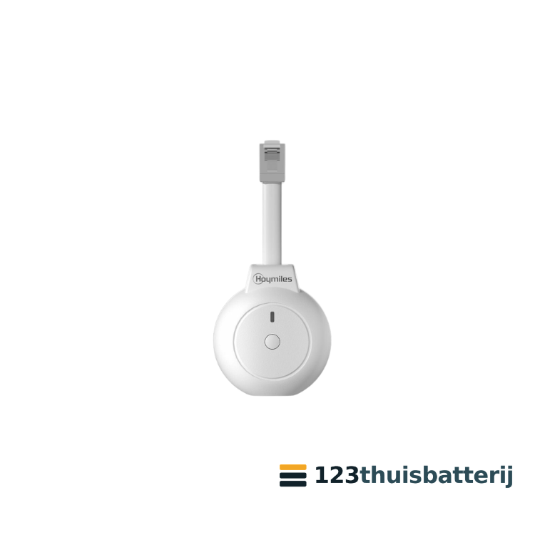 Hoymiles P1-meter